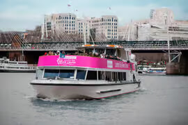 Thames River sightseeing cruise London